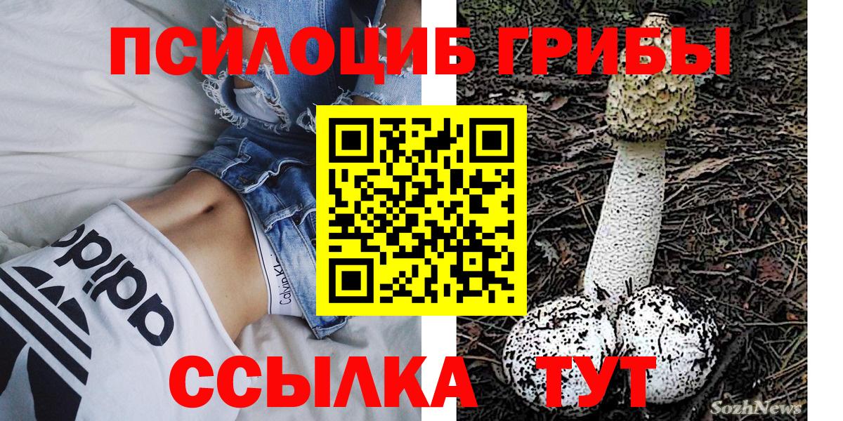 Артёмовский  Псилоцибиновые грибы мицелий  Вход с VPN 